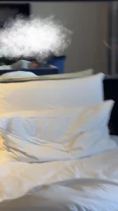 05大屁股小母狗夹子特别能叫